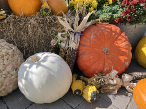 Fall Package No.3