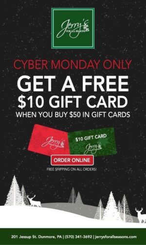 Cyber Monday Deal