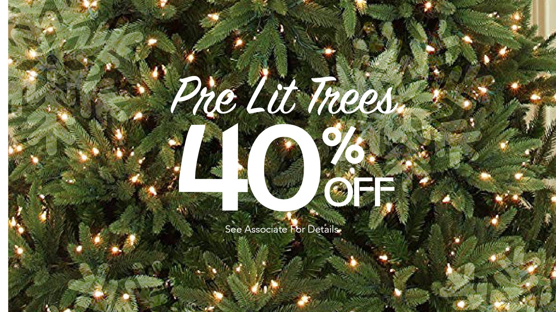 Fall Fundraiser Mums