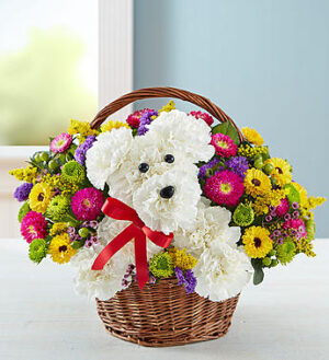 A-Dog-Able Basket