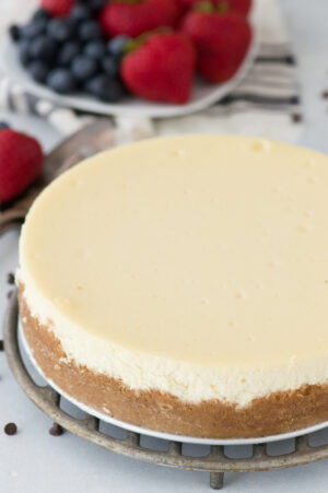 Plain Cheesecake