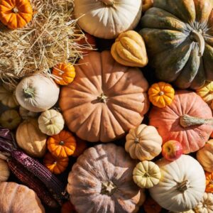 Fall Package No.1