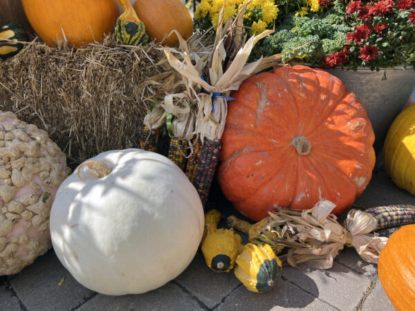 Fall Package No.3
