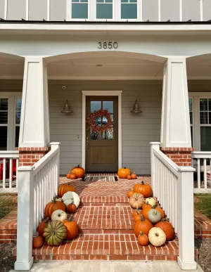 Fall Package No.6