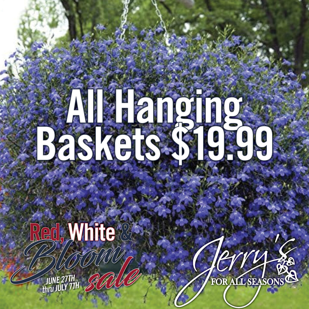 Red White and Bloom Jerry's For All Seasons